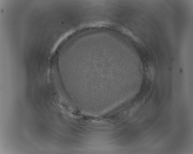 X0000070411256200606231819