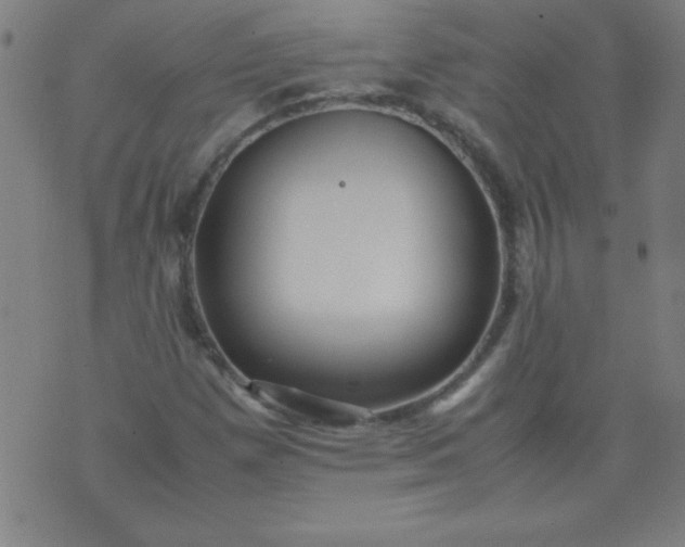 X0000070411257200606231819