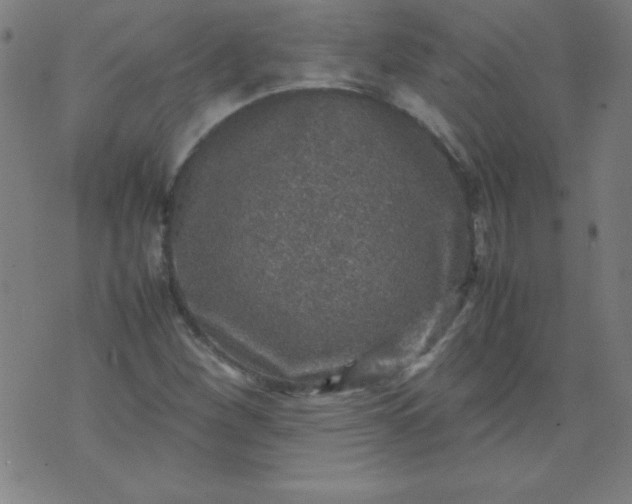 X0000070411260200606231819