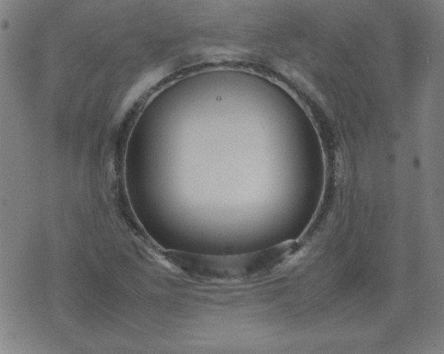 X0000070411261200606231819