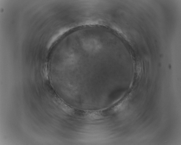 X0000070411262200606231819