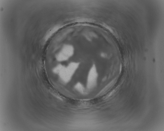 X0000070411263200606231819