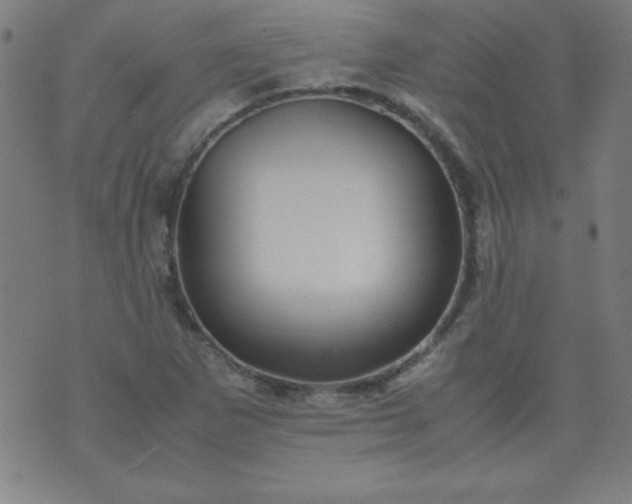 X0000070411265200606231819