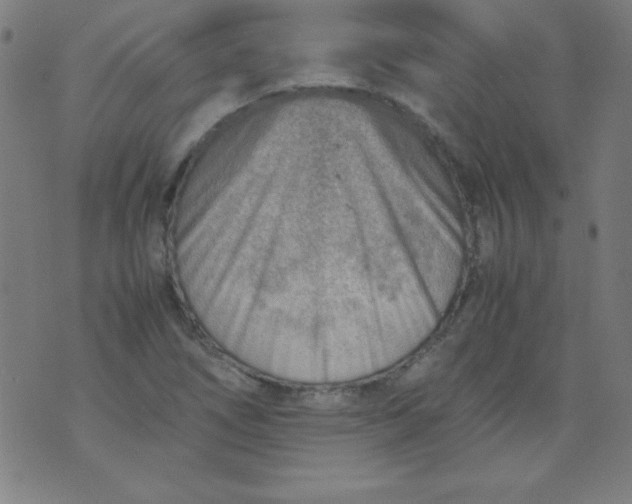 X0000070411266200606231819