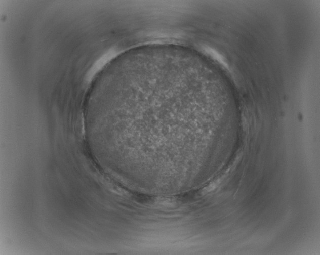 X0000070411267200606231819