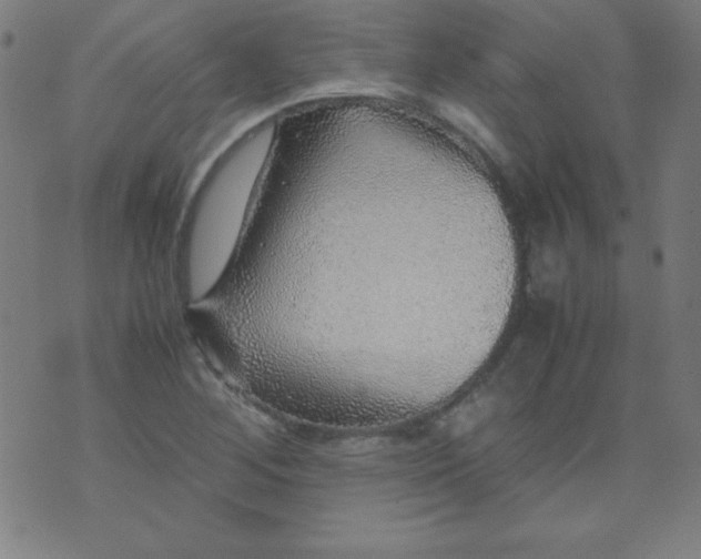 X0000070411268200606231819