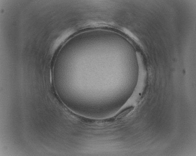 X0000070411269200606231819