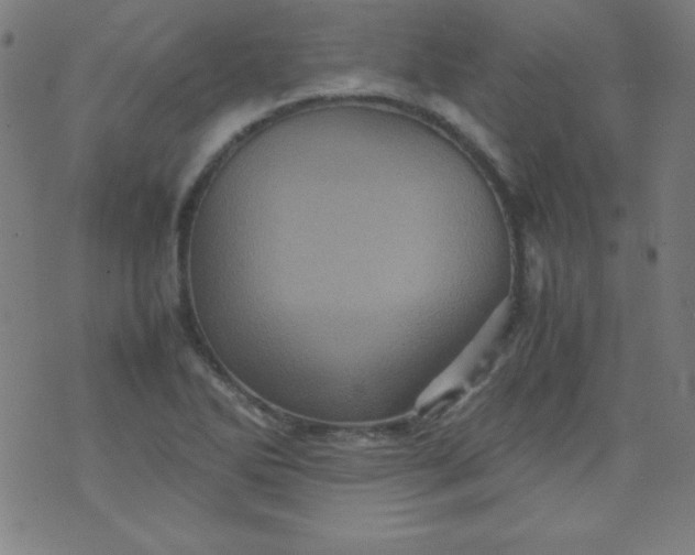 X0000070411270200606231819