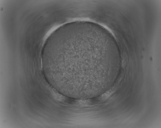 X0000070411271200606231819