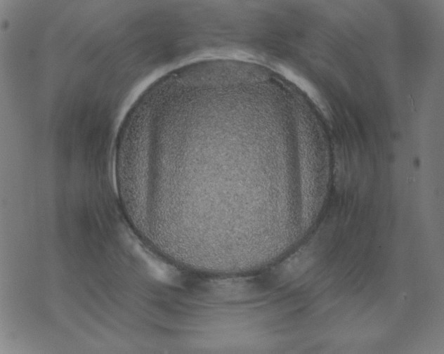 X0000070411272200606231819