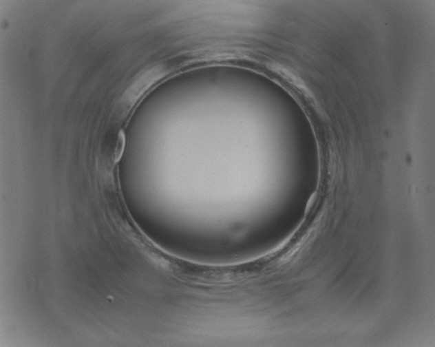 X0000070411273200606231819