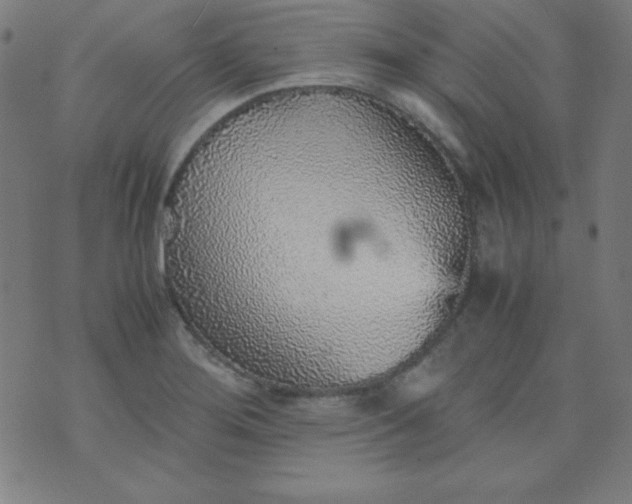 X0000070411276200606231819