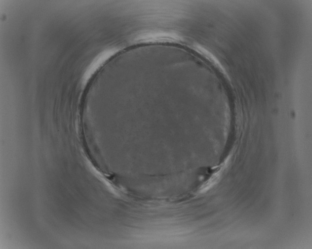 X0000070411277200606231819