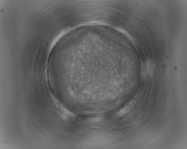 X0000070411278200606231819