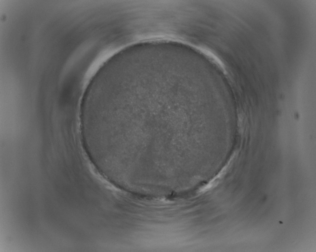 X0000070411279200606231819