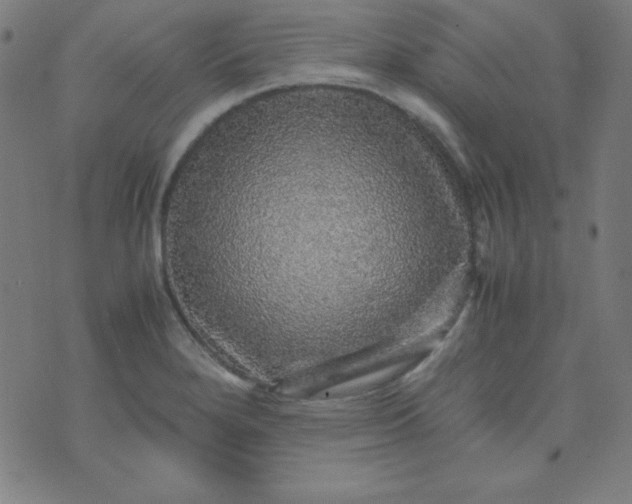 X0000070411280200606231819