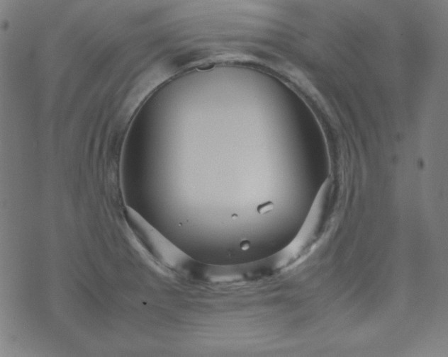 X0000070411281200606231819