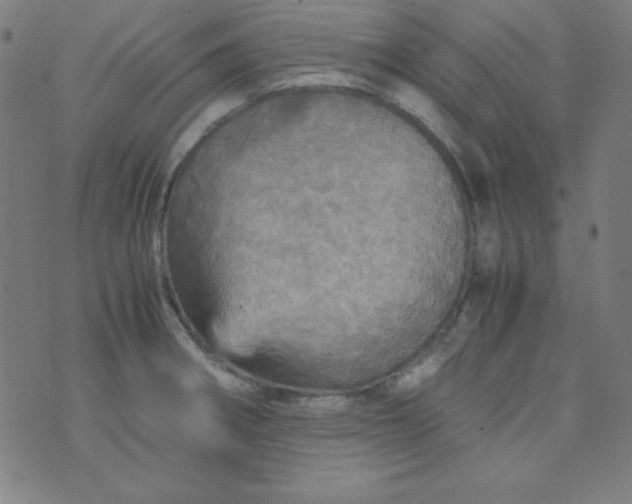 X0000070411282200606231819