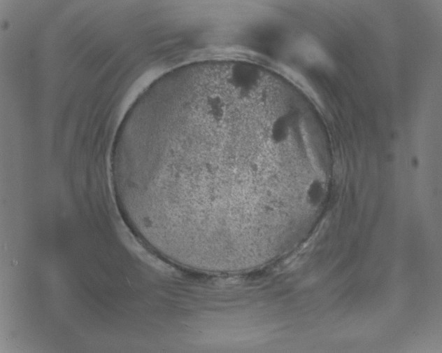 X0000070411283200606231819