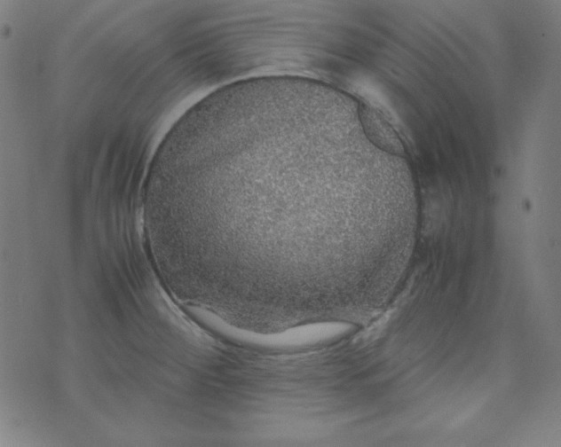 X0000070411284200606231819