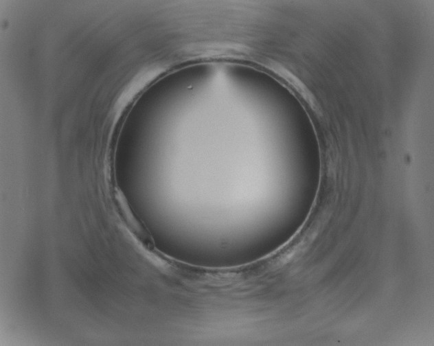 X0000070411285200606231819