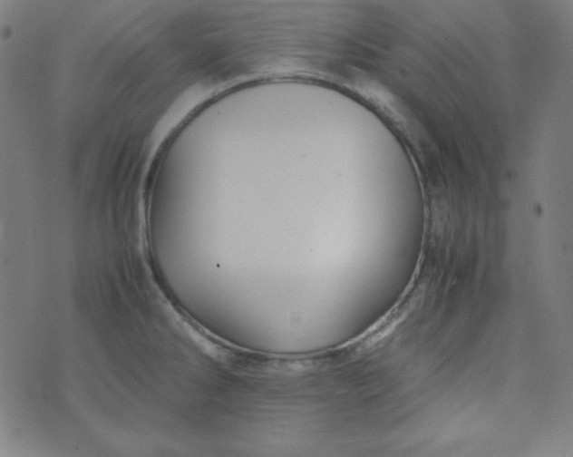 X0000070411286200606231819