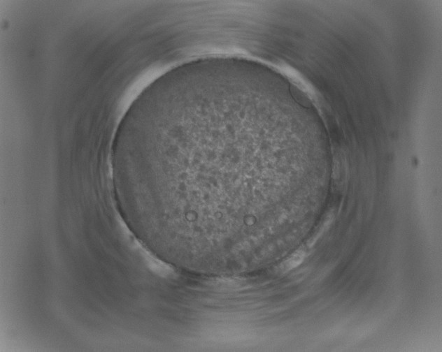 X0000070411287200606231819