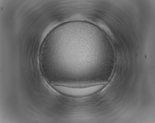 X0000070411288200606231819