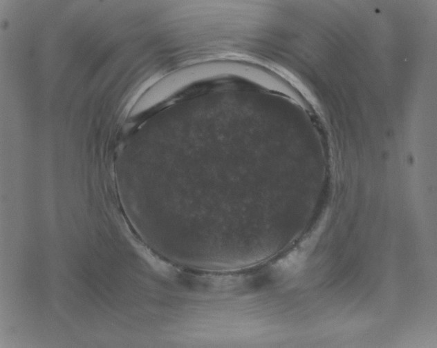 X0000070411289200606231819