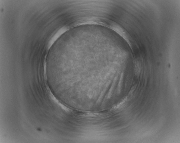 X0000070411290200606231819