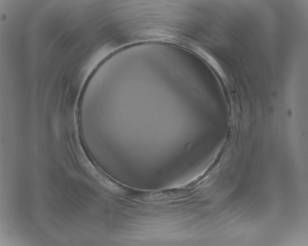 X0000070411291200606231819