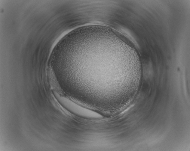 X0000070411292200606231819