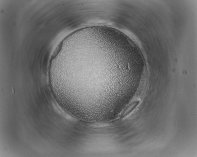 X0000070411296200606231819