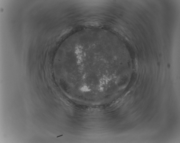 X0000070411297200606231818