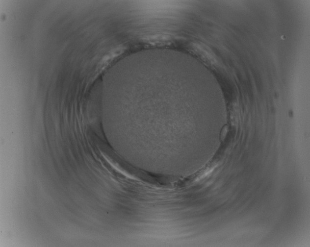 X0000070411298200606231818