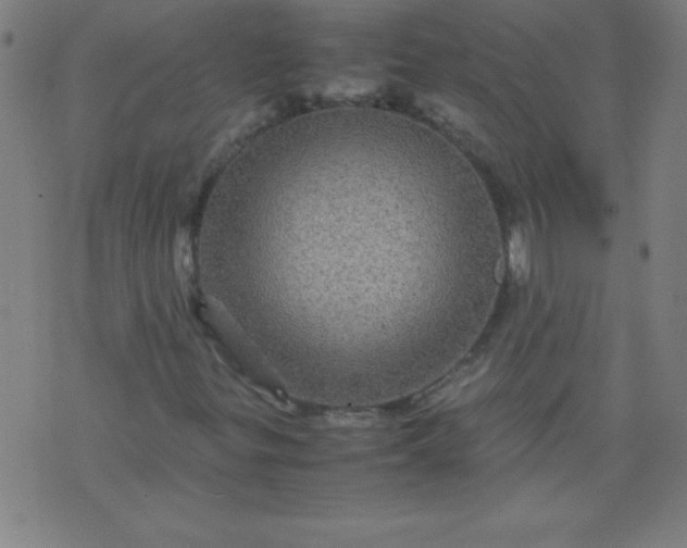 X0000070411299200606231818