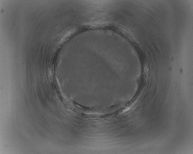 X0000070411300200606231818