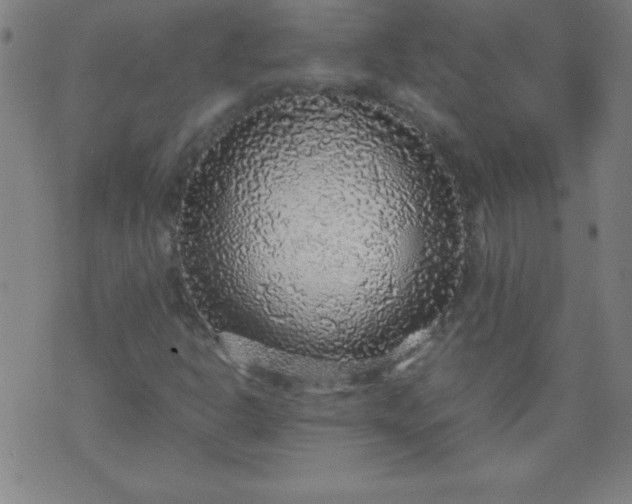 X0000070411302200606231818