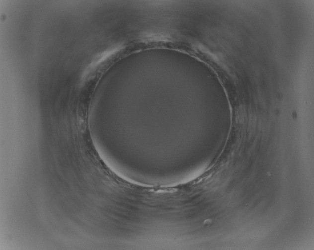 X0000070411303200606231818