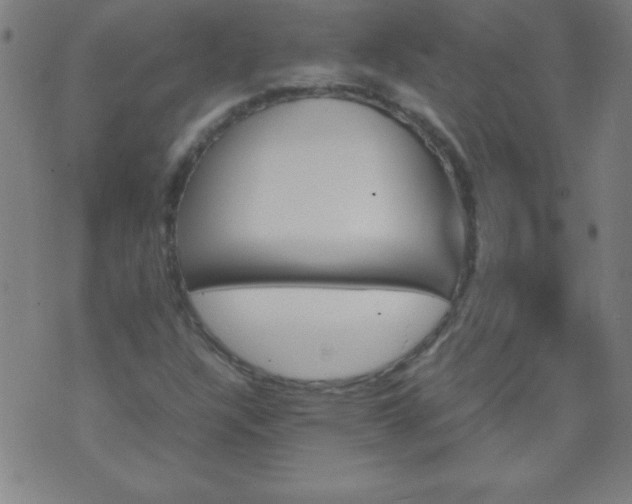 X0000070411304200606231818