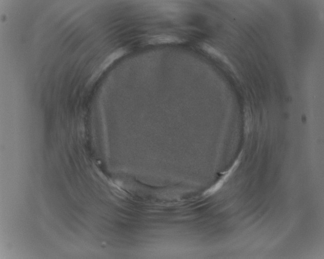 X0000070411305200606231818