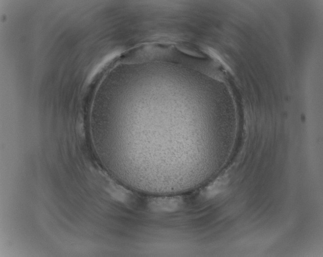 X0000070411307200606231818