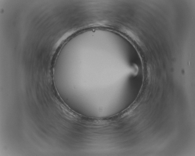 X0000070411308200606231818