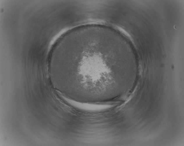 X0000070411310200606231818