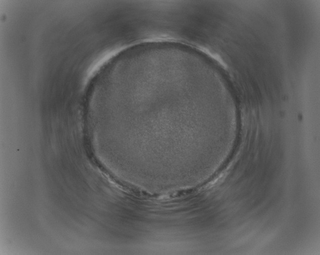 X0000070411311200606231818