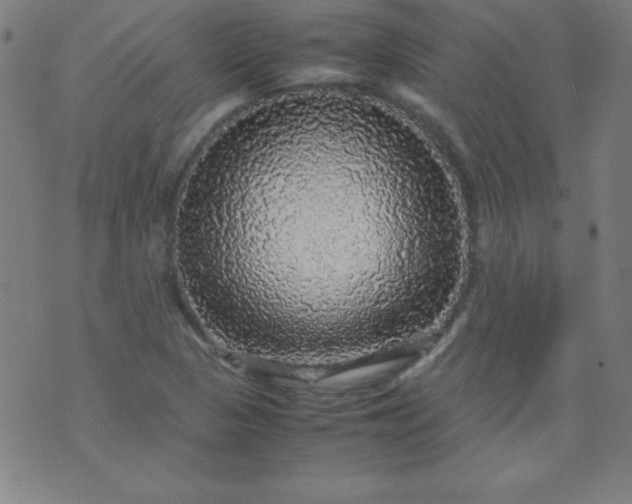 X0000070411313200606231818