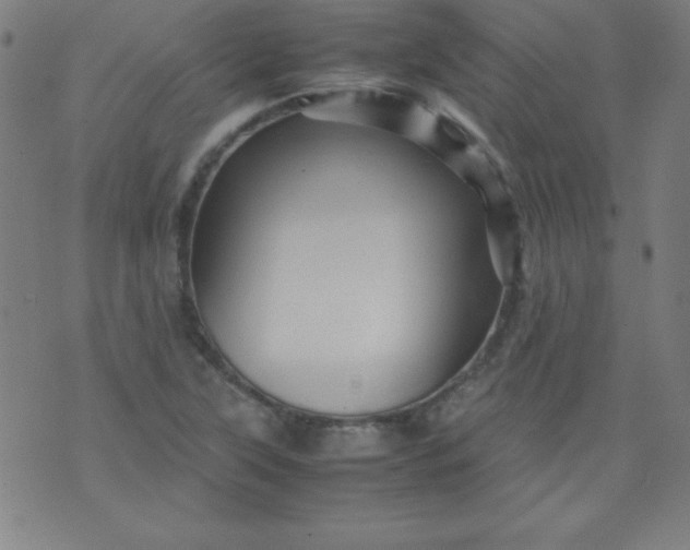 X0000070411315200606231818