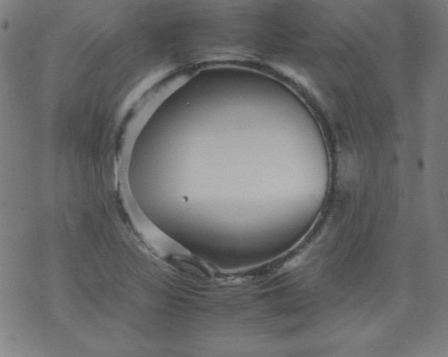 X0000070411317200606231818