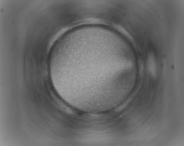 X0000070411318200606231818