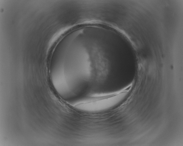 X0000070411319200606231818